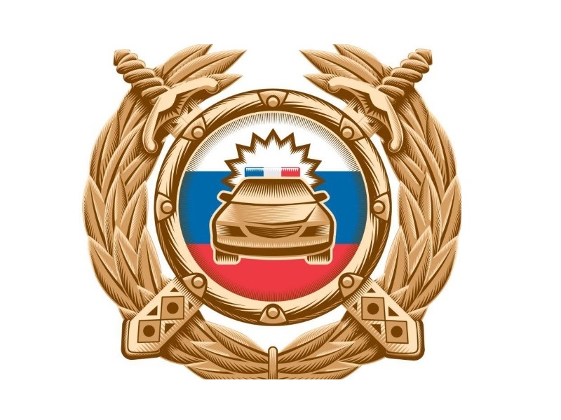 С СИМ – безопасно колесим!.